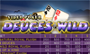 4-Line Deuces Wild