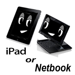 iPad or Netbook