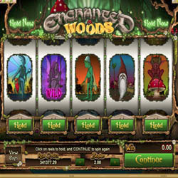 Enchanted Woods slot at Virgin Casino Virgin Casino launched Enchanted Woods slot